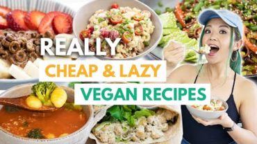 VIDEO: 5 REALLY LAZY Vegan “Recipes” For ONE! High Protein & Cheap, too~