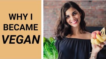 VIDEO: My Vegan Story | why i went vegan, tips, and benefits