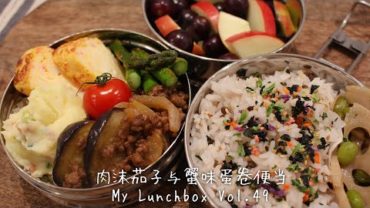 VIDEO: 【ENG】便当料理音 +日常 lunchbox+daily vlog 肉沫茄子与蟹味煎蛋卷便当Vol.49 Minced beef with eggplant &crab flavor eggroll