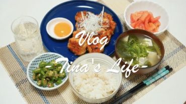 VIDEO: SUB) 鶏つくねを作って食べる //  簡単焼きリンゴ🍎 【Vlog・一人暮らしの日常・とある休日】