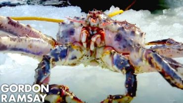 VIDEO: Catching and Cooking King Crab | Gordon Ramsay