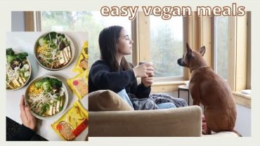 VIDEO: what I ate today feat. simple vegan recipes