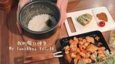 VIDEO: 【ENG】每日便当 My lunchbox 料理音 Cooking sound｜菠菜蛋卷与彩椒炒鸡肉便当Vol.36 Spinach egg roll& inner fillet stir fry