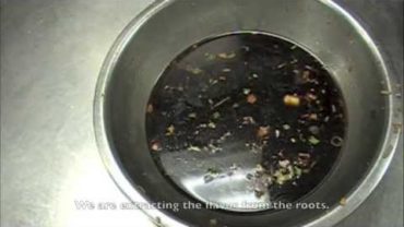 VIDEO: How to Make Chinese Brown Sauce, Base Sauce, Mother Sauce.