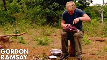 VIDEO: Gordon Ramsay Cooks Buffalo For A Cambodian Tribe | Gordon’s Great Escape