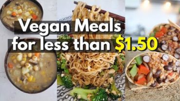 VIDEO: BUDGET Vegan Meals For UNDER $1.50