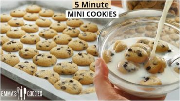 VIDEO: YOUR new FAVORITE way to eat Cookies! 5 minute Mini Chocolate Chip Cookies