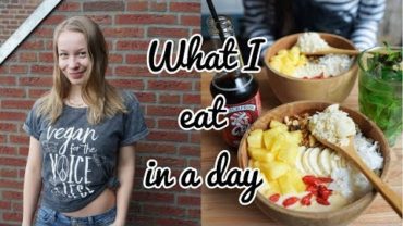 VIDEO: VEGAN WHAT I EAT IN A DAY| Eating at Livin’ Room Maastricht