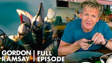 VIDEO: Gordon Ramsay Finds Out Why Goose Barnacle Are So Expensive | The F Word FULL EPISODE