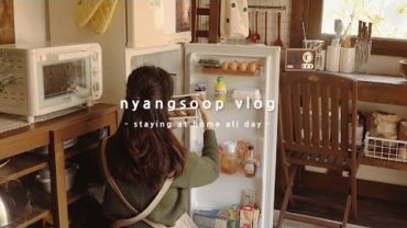 VIDEO: 냥숲 vlog | 집순이의 겨울 냉장고, 집에서 혼자 요리하고 먹은 것들, 시골 겨울일상