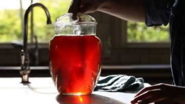VIDEO: How to Make Classic Southern Sweet Tea | Southern Living