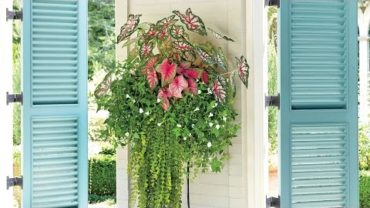 VIDEO: Our 10 Best Container Gardens | Southern Living
