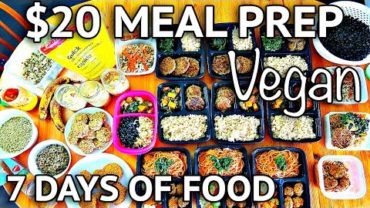 VIDEO: VEGAN MEAL PREP FOR $20 (FULL WEEK OF FOOD!)
