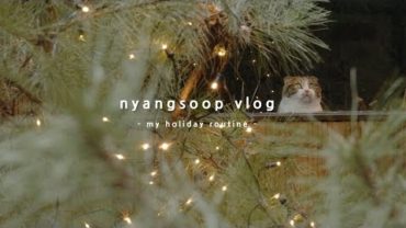 VIDEO: 냥숲 vlog | 크리스마스를 보내는 나만의 루틴, 겨울일상