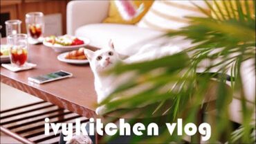 VIDEO: SUB)매콤하고 중독적인 오징어볶음｜남편이 만들어준 브런치 테이블｜빵도둑 레몬딜버터를 만들자｜고양이와 함께