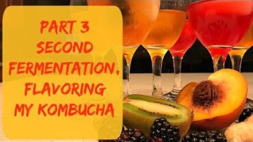 VIDEO: Kombucha Second Fermentation – Bottling, Carbonating & Flavoring Kombucha