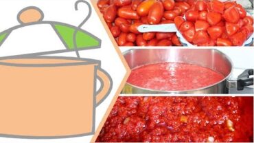 VIDEO: Fry Your Best Tomato Stew | Flo Chinyere