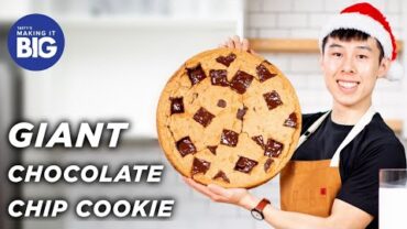 VIDEO: I Made A Giant 20-Pound Chocolate Chip Cookie • Tasty