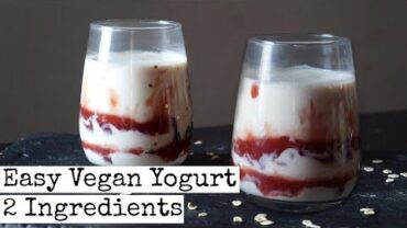 VIDEO: Easy Vegan Yogurt | 2 Ingredients