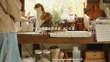 VIDEO: 숲과 음식 그리고 고양이와 함께 하기 좋은 날 | 냥숲 vlog