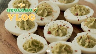 VIDEO: 🥑Avocado VLOG(3)🥑달걀과 아보카도의 만남🍳’데빌드 에그’ 만들기~*/REAL SOUND : 초의 데일리쿡