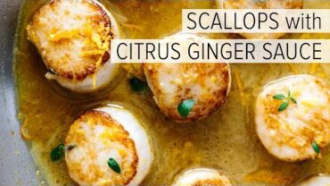 VIDEO: SCALLOPS with CITRUS GINGER SAUCE | how to cook scallops