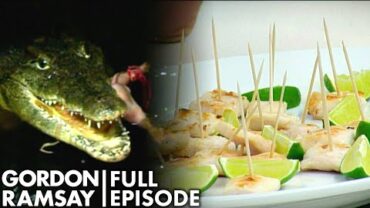 VIDEO: Gordon Ramsay Tries Crocodile | The F Word Full Episode