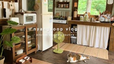 VIDEO: 부엌 청소하는 날🍃 아늑한 주방의 구석구석 수납 공간들 정리🌻 | 냥숲 vlog