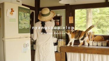VIDEO: 숲속집의 초여름 아침, 모닝루틴 Summer Morning Routine☀ | 냥숲 vlog