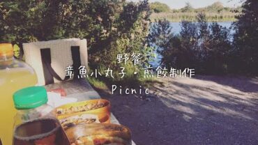 VIDEO: 【Eng】野餐 Picnic｜章鱼小丸子 · 煎饺制作｜make Takoyaki & fried Gyoza