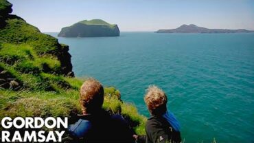 VIDEO: Gordon Ramsay Learns How To Hunt Puffins | Gordon Ramsay