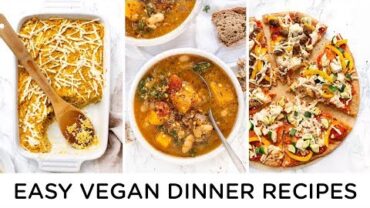 VIDEO: EASY VEGAN DINNER RECIPES ‣‣ for family or vegan beginners
