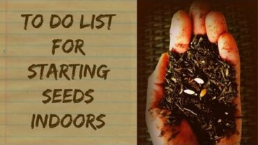 VIDEO: What Do I Need To Start Seeds Indoors – Organic Gardening For Beginners