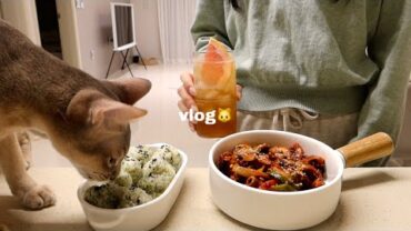 VIDEO: 🐱 vlog | 매콤한 낙지볶음, 불닭덮밥도시락싸서 출근, 한우 오마카세 맛집투어❤️