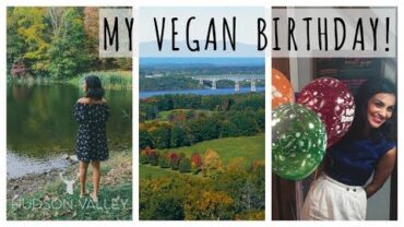 VIDEO: What I Ate + Did on My Birthday | my vegan birthday