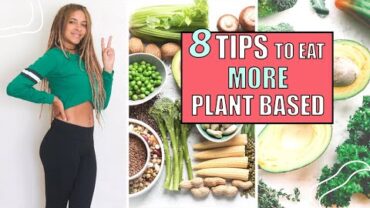 VIDEO: Beginners Guide To A Plant Based Diet  | How To Eat Plant Based Food
