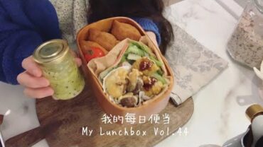VIDEO: 【ENG】我的每日便当 lunchbox 料理音Cooking sound｜豆皮寿司猕猴桃色拉与芝士香菇便当Vol.44 Inari sushi, kiwi salad,cheese mushroom