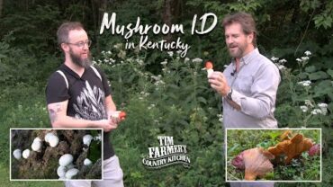 VIDEO: Identifying Mushrooms in Kentucky