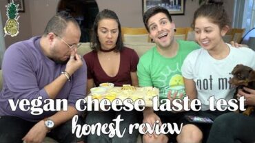 VIDEO: Vegan Cheese Taste Test w/ a Non-Vegan | Honest Review