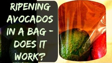 VIDEO: How To Ripen Avocados In A Paper Bag – Does It Work?