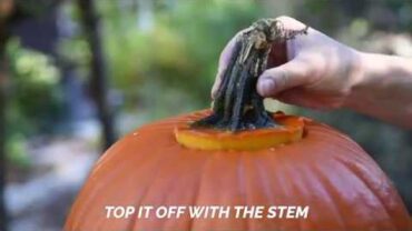VIDEO: How to Make a Pumpkin Keg | Food & Wine
