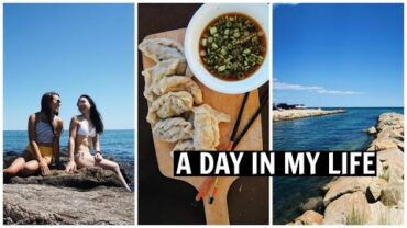 VIDEO: Beaches, Shops, and Homemade VEGAN Dumplings // Martha’s Vineyard Day 1