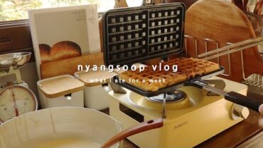VIDEO: 레몬딜버터와 딜오일 만들기🌿 일주일 요리영상 일상 모음 ‘봄春’ | 냥숲 vlog