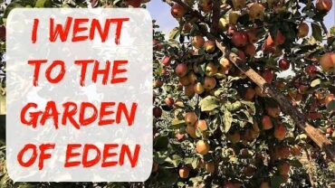 VIDEO: GARDEN AND BACKYARD TOUR OF A TYPICAL BULGARIAN BACKYARD – GARDEN OF EDEN