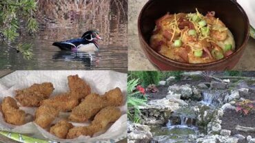 VIDEO: Shrimp and Grits, Fried Fish Secret, Identifying Birds & Bluegill Fishing (#607)