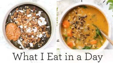 VIDEO: WHAT I EAT IN A DAY (VEGAN) ‣‣ first 24 hours of being home