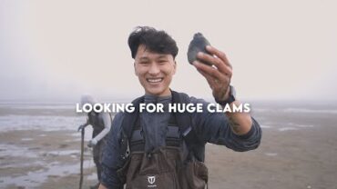 VIDEO: Catch & Cook: Huge Clams in California