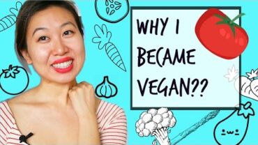 VIDEO: THE “WHY I BECAME VEGAN?” VIDEO + Tips on What to Eat!!
