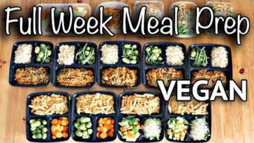VIDEO: WEEKLY VEGAN MEAL PREP FOR BACK TO SCHOOL (CHEAP + EASY)