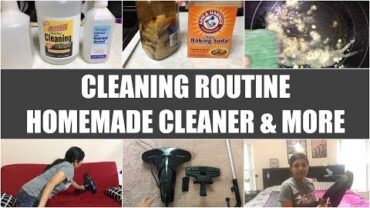 VIDEO: Cleaning Routine + Homemade Cleaner & More Video Recipe | Bhavna’s Kitchen